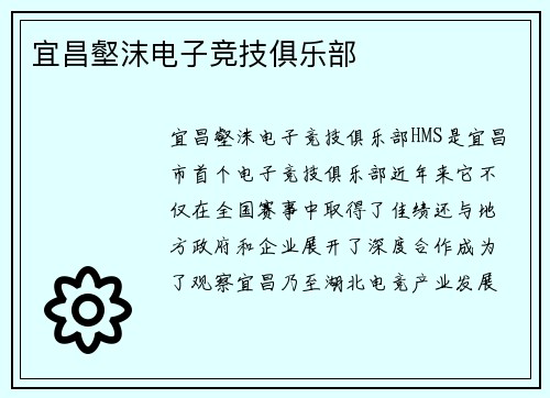 宜昌壑沫电子竞技俱乐部